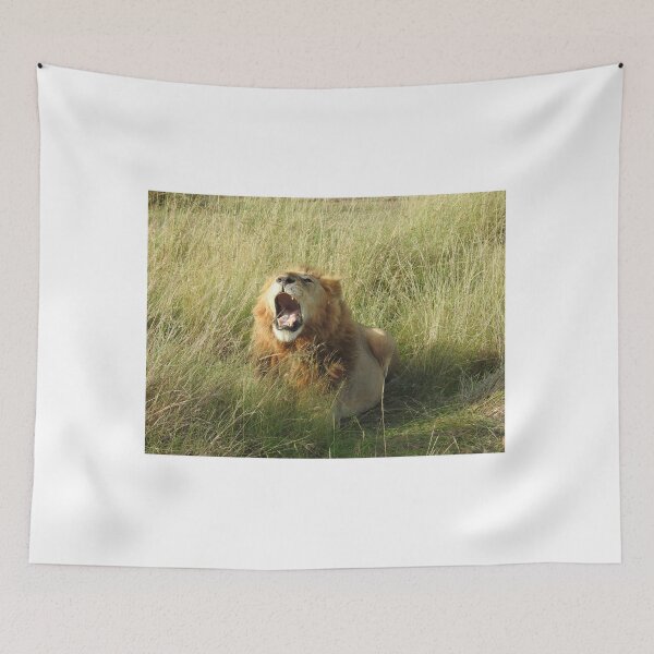Item preview, Adult male lion in the Mara designed and sold by Faunagraphy360.