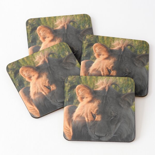 Item preview, Sleepy young lion designed and sold by Faunagraphy360.
