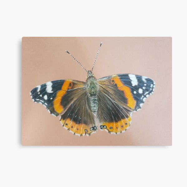 Item preview, Red Admiral butterfly designed and sold by Annagibbsart.