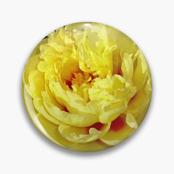 Item preview, Stunning Yellow Peony With Red Highlights designed and sold by CarolBeeDesigns.