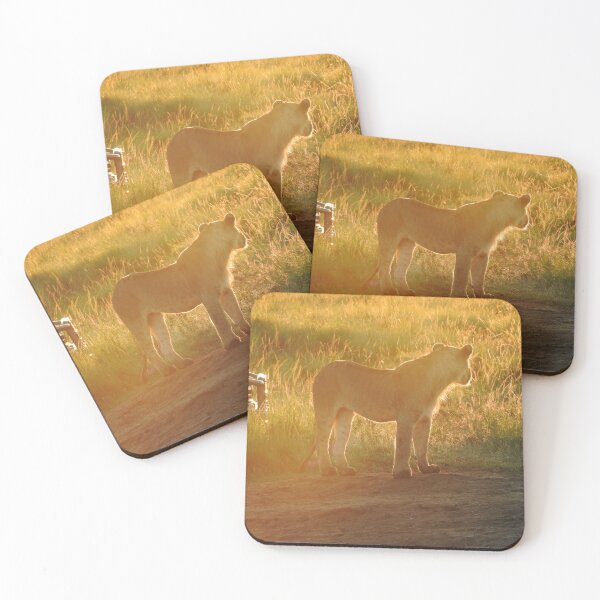 Item preview, Lioness in the sunrise designed and sold by Faunagraphy360.