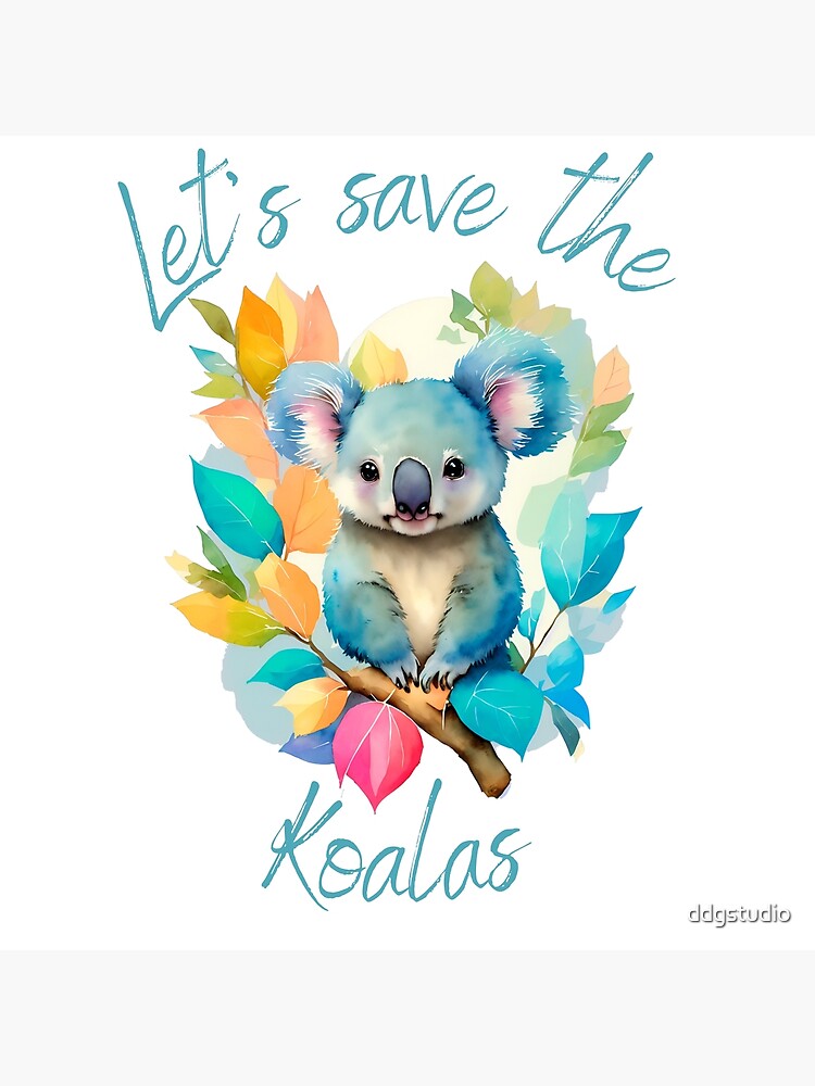 Koala Gifts and Products - Gecko Interiors