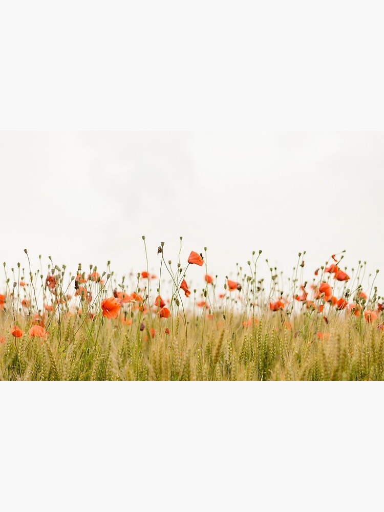 Mohnblumen von Ephemeral-Joy