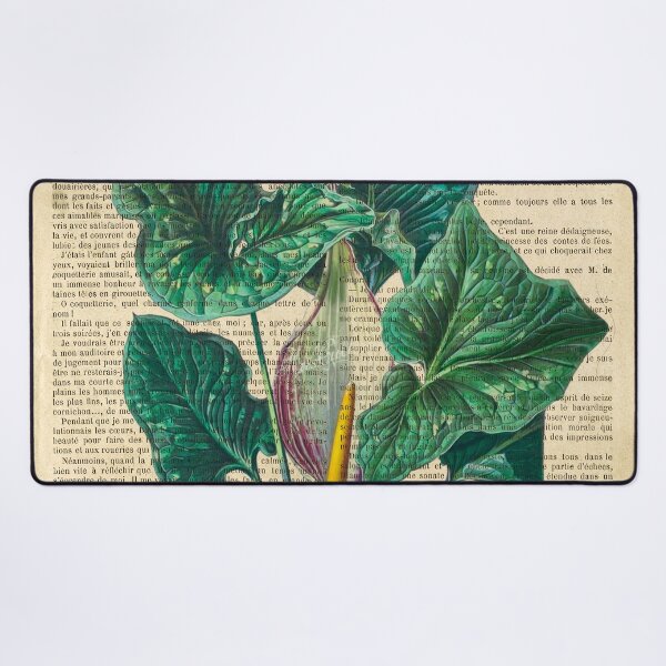 Item preview, Botanical print, on old book page - Calla Lily Flower designed and sold by Art by Lilia.