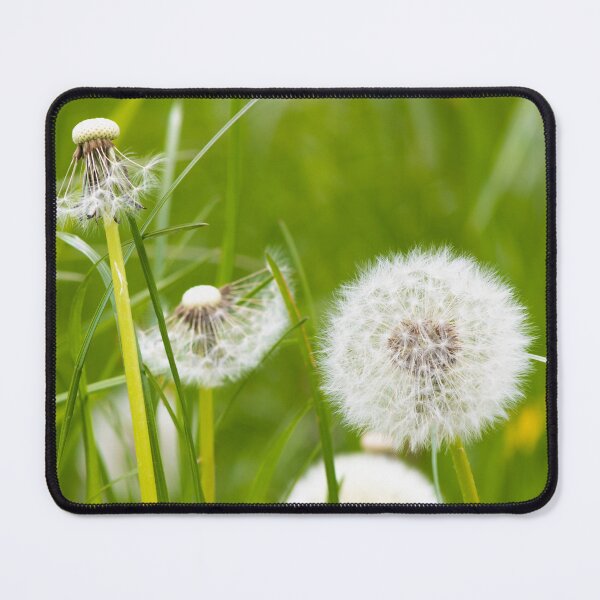 Item preview, Dandelions in the grass designed and sold by BigBadJogr.