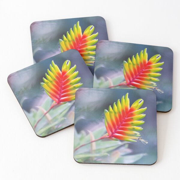 Item preview, Bromeliad symphony designed and sold by etkata4.