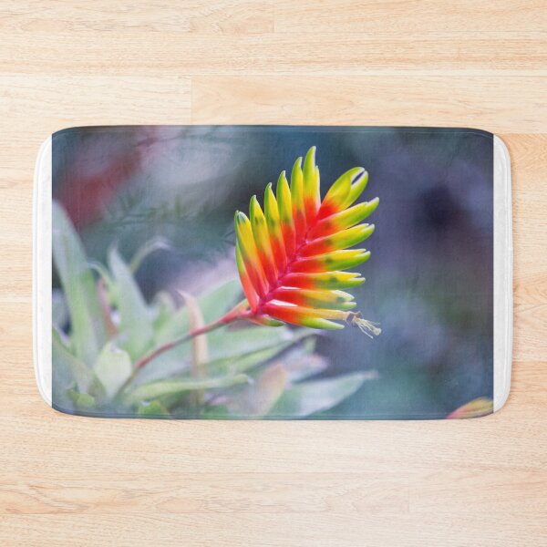 Item preview, Bromeliad symphony designed and sold by etkata4.