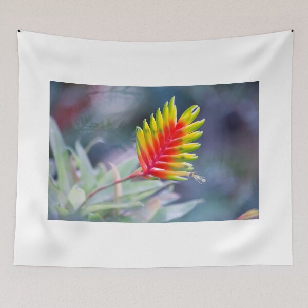 Item preview, Bromeliad symphony designed and sold by etkata4.