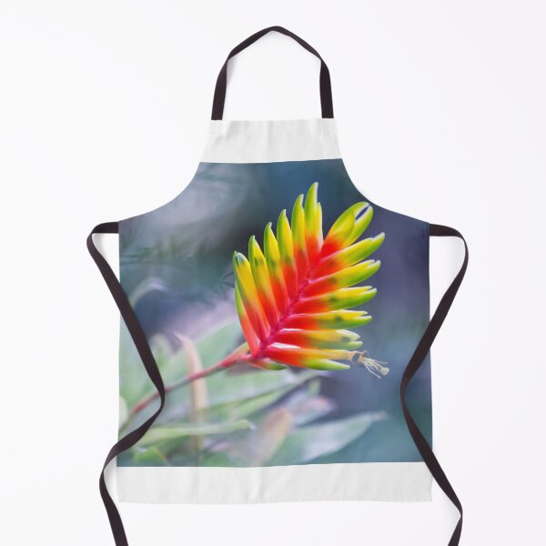 Item preview, Bromeliad symphony designed and sold by etkata4.