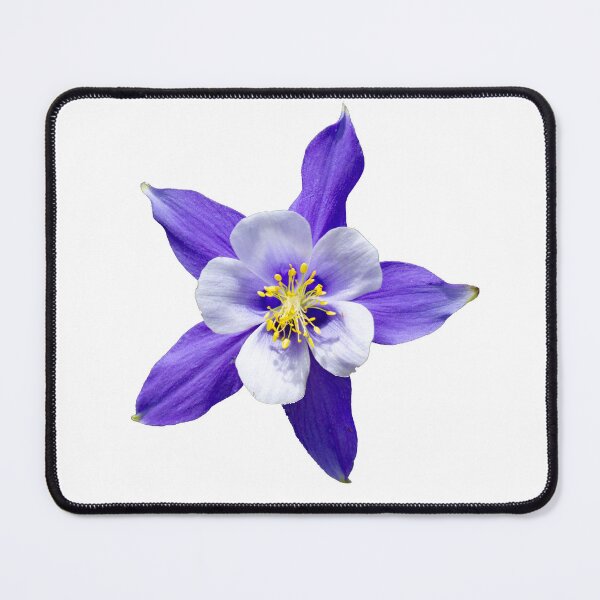 Item preview, Colorado blue columbine designed and sold by Shizenkai.