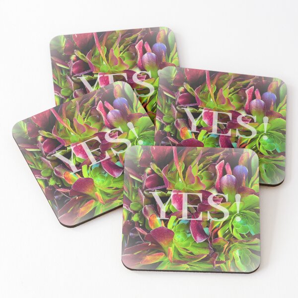 Item preview, YES! Vibrant Irish Rose Succulent designed and sold by Merethe Soltvedt.