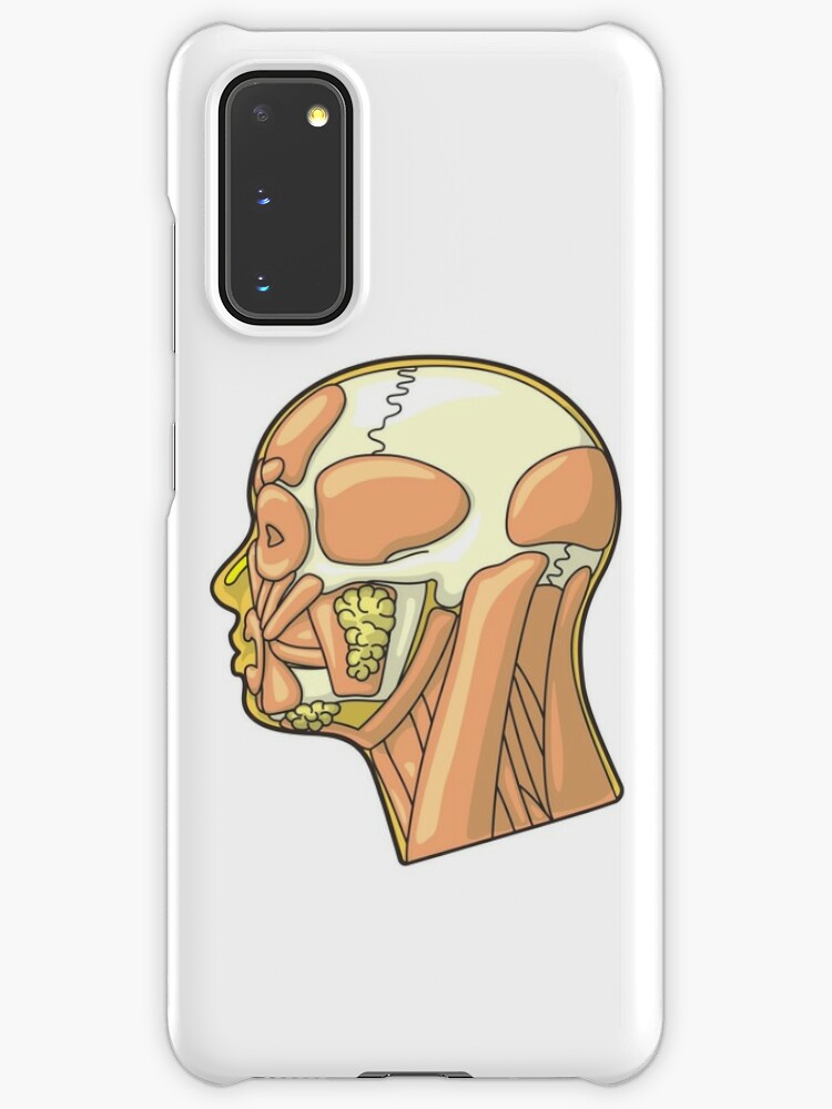 Muscles And External Anatomy Of The Human Head Case Skin For Samsung Galaxy By Taylorcustom Redbubble
