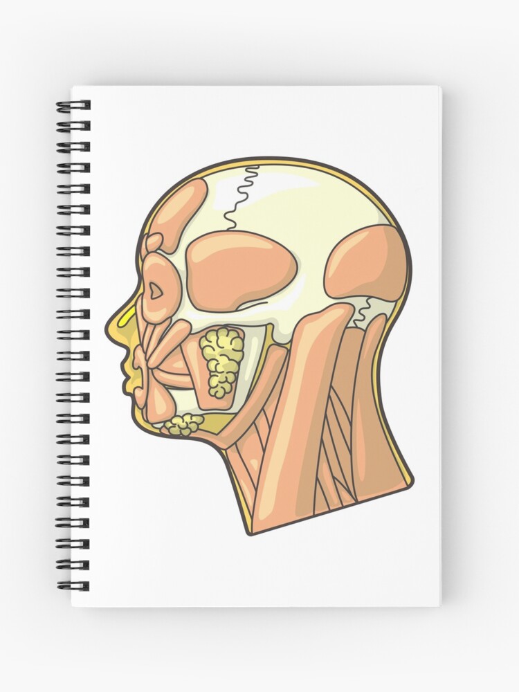 Cuaderno de espiral «Músculos y anatomía externa de la cabeza humana» de taylorcustom | Redbubble Cuaderno de espiral «Músculos y anatomía externa de la cabeza humana» de taylorcustom | Redbubble