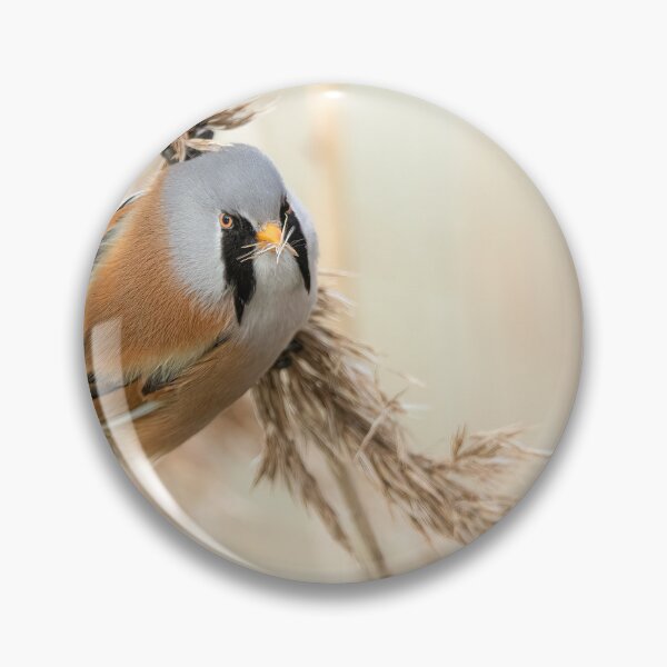 Item preview, Bearded Reedling designed and sold by Norsewings.