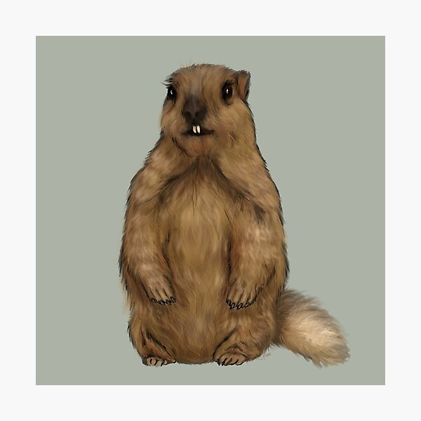 Item preview, Marvin the Marmot on Silver Sage designed and sold by Sharilea.