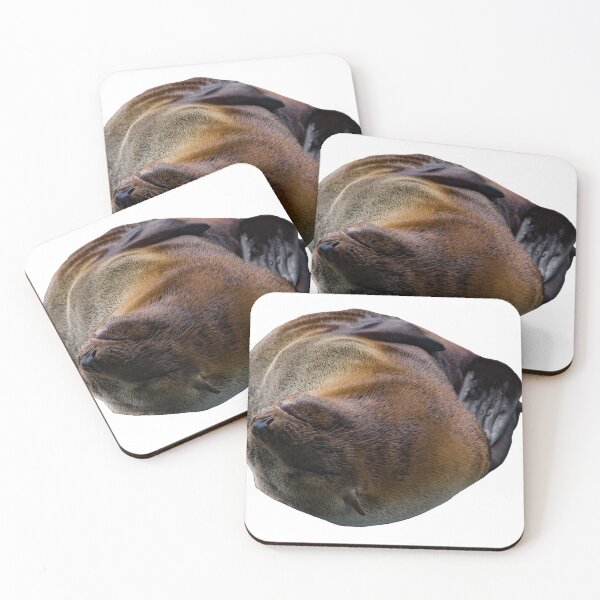 Item preview, Basking seal designed and sold by Shizenkai.