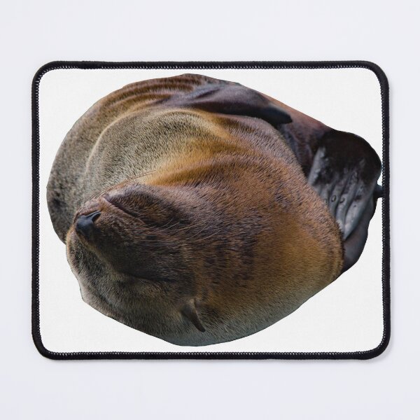 Item preview, Basking seal designed and sold by Shizenkai.