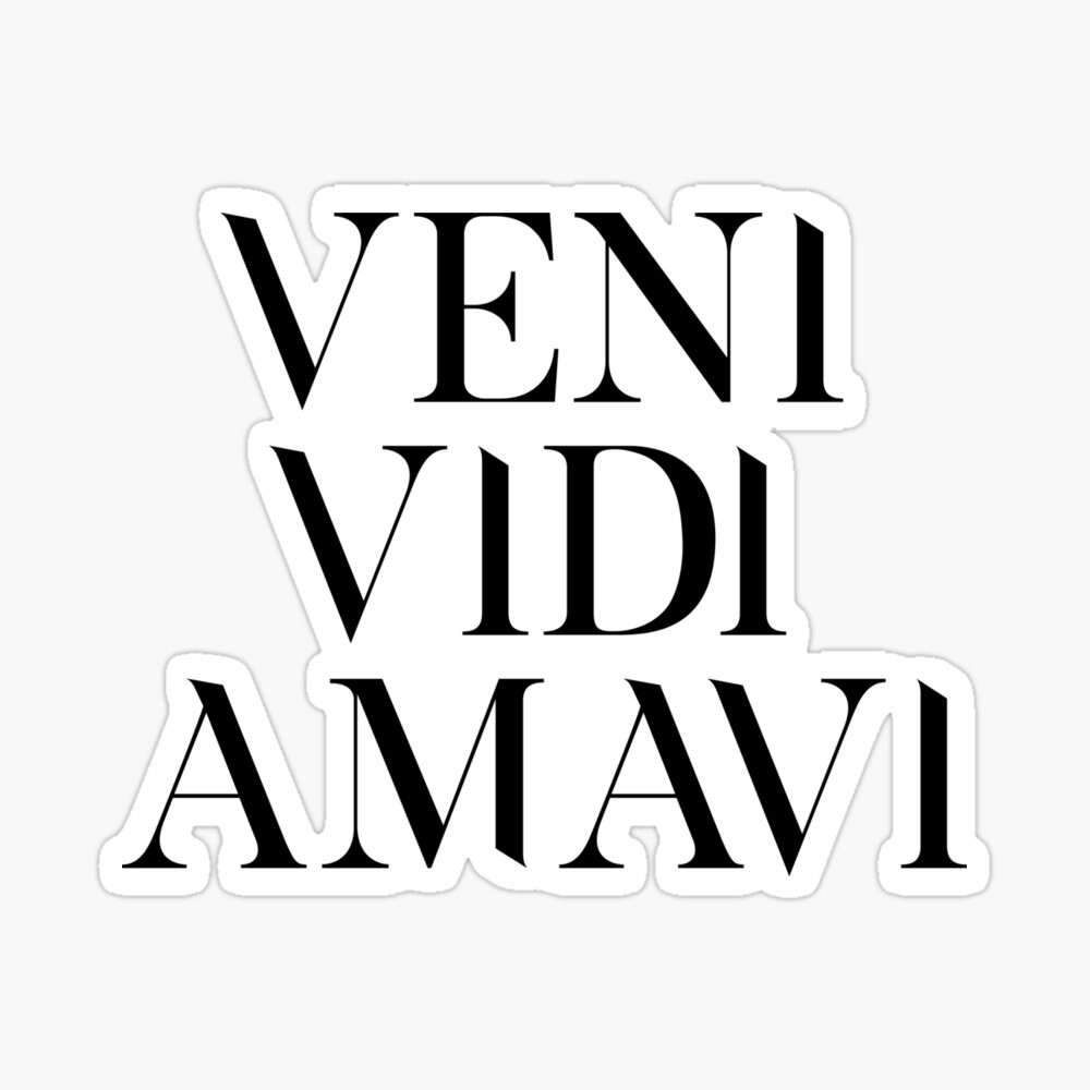 Veni Vidi Vici 'We Came We Saw We Conquered' Latin Saying Roman  Quote Inspirational White Poster for Sale by bard-art