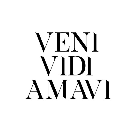 veni vidi amavi