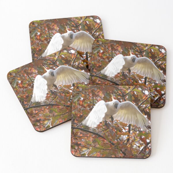 Item preview, Cockatoo Paradise  #1 designed and sold by Salieri1627.