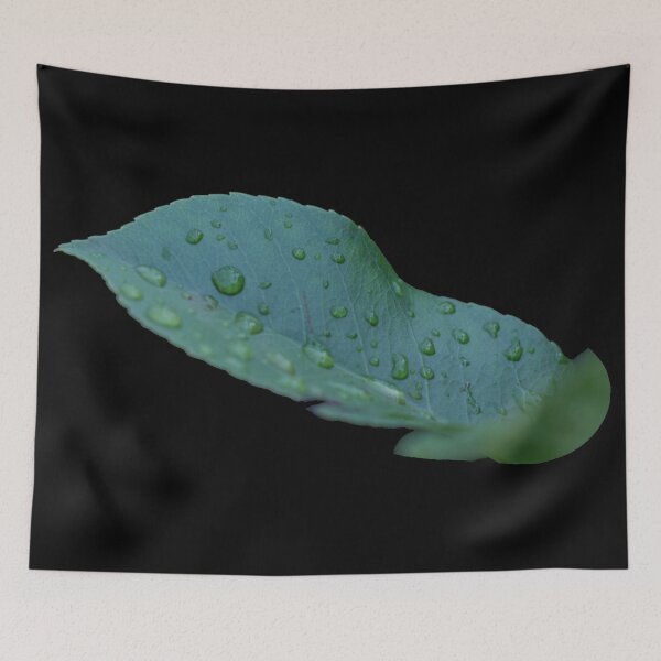 Item preview, Fresh dew on a leaf designed and sold by Shizenkai.