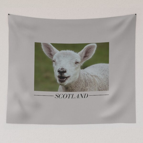 Item preview, Scotland | Unique Beautiful Travelling Home Decor | Phone Cases Stickers Wall Prints | Scottish Travel Photographer  | ZOE DARGUE PHOTOGRAPHY | Glasgow Travel Photographer  designed and sold by Zoe Dargue Photography.