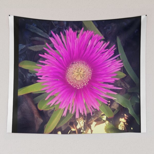 Item preview, California Pink designed and sold by StarrySkyEyes.