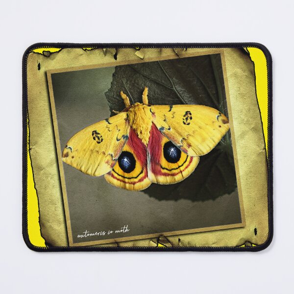 Item preview, io moth designed and sold by UffdaGreg.
