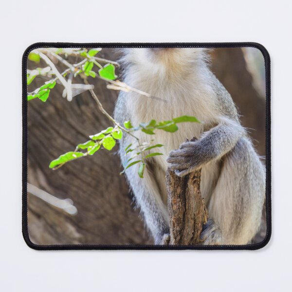 Item preview, Vervet Monkey #2 designed and sold by Jan Fijolek.