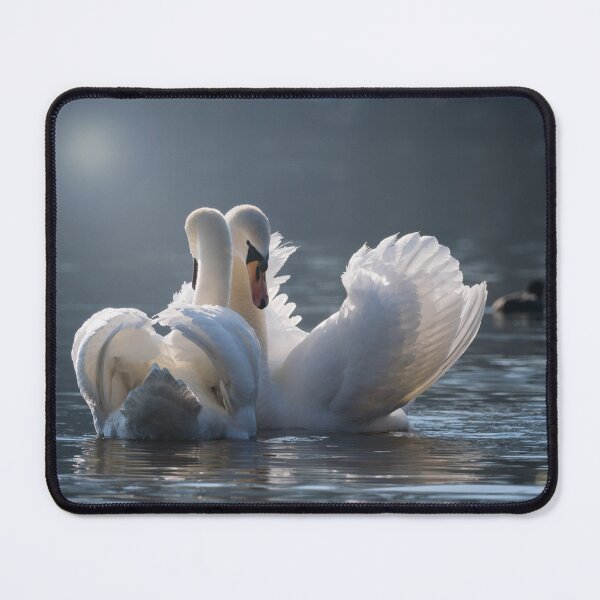 Item preview, swans designed and sold by marmothel.
