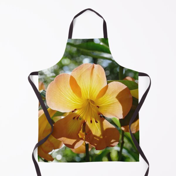 Item preview, Sunlight Shining Through the Daylily Petals designed and sold by jaynerushton.