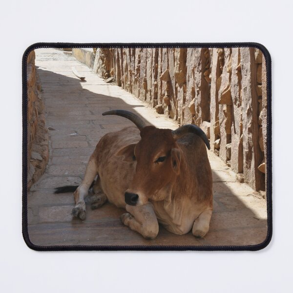 Item preview, India - Jaisalmer, The Citadel designed and sold by franck380.