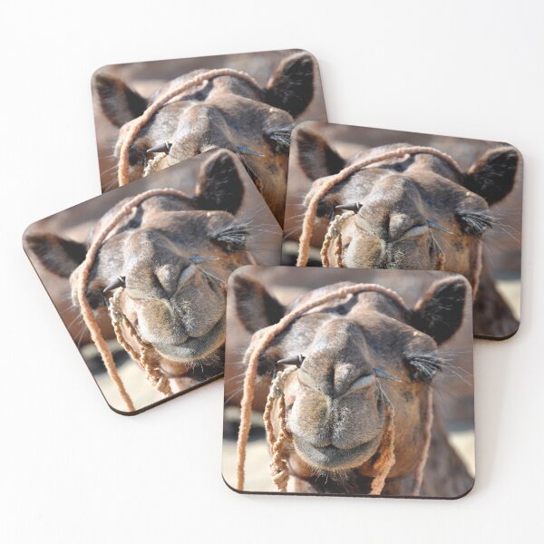 Item preview, India - Jaisalmer, camel, Thar desert designed and sold by franck380.