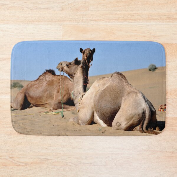 Aperçu de l'œuvre India - Jaisalmer, thar desert, camels créée et vendue par franck380.