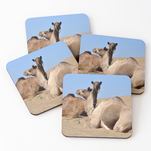 Item preview, India - Jaisalmer, Thar Desert, Camels designed and sold by franck380.