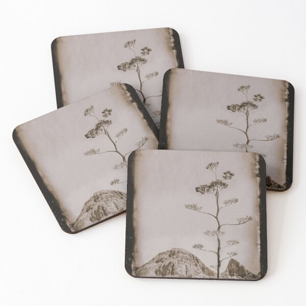 Item preview, Dried Agave Stalk in Big Bend National Park designed and sold by LESLIEDYESIGN.
