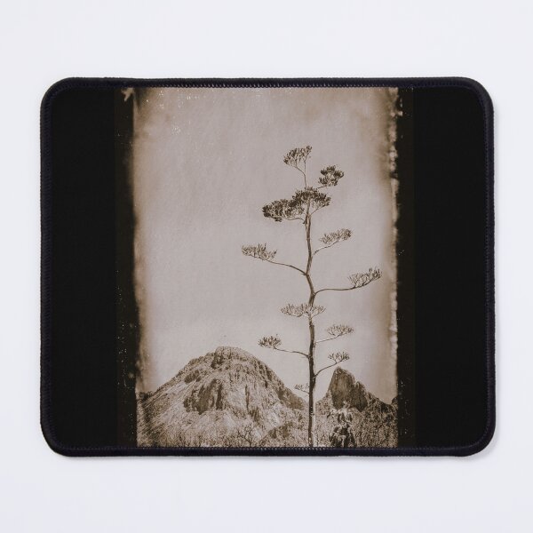 Item preview, Dried Agave Stalk in Big Bend National Park designed and sold by LESLIEDYESIGN.