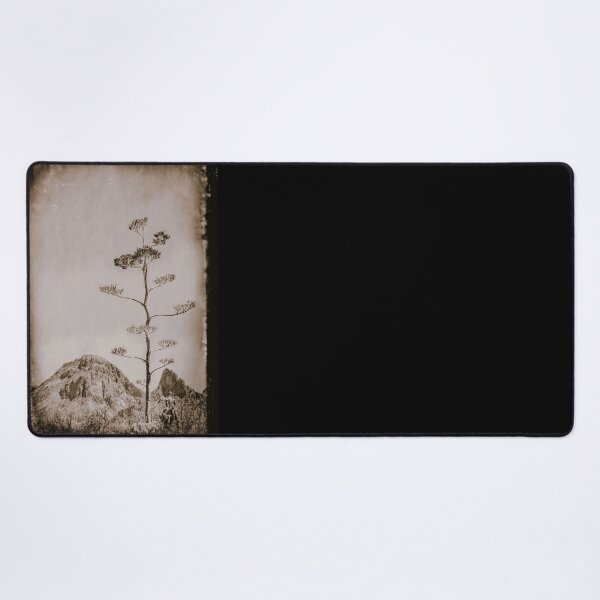 Item preview, Dried Agave Stalk in Big Bend National Park designed and sold by LESLIEDYESIGN.