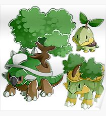Sinnoh Project - Grass Starter Trio Poster