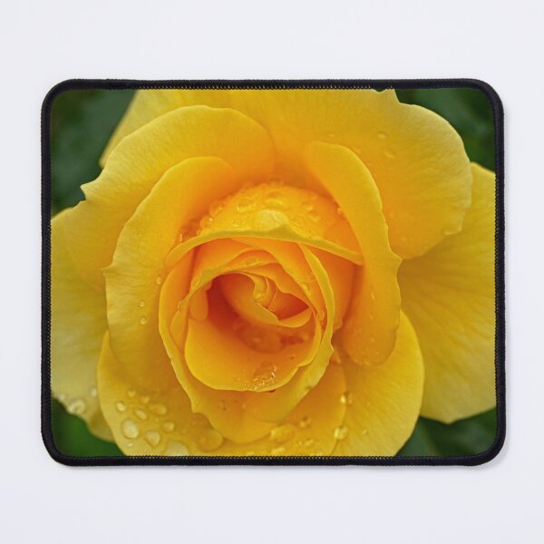 Item preview, Raindrops on Beautiful Big Yellow Rose designed and sold by jaynerushton.