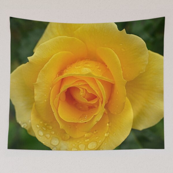 Item preview, Raindrops on Beautiful Big Yellow Rose  designed and sold by jaynerushton.