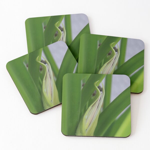 Item preview, Daylily Scape Starting to Open designed and sold by Robert Armendariz.