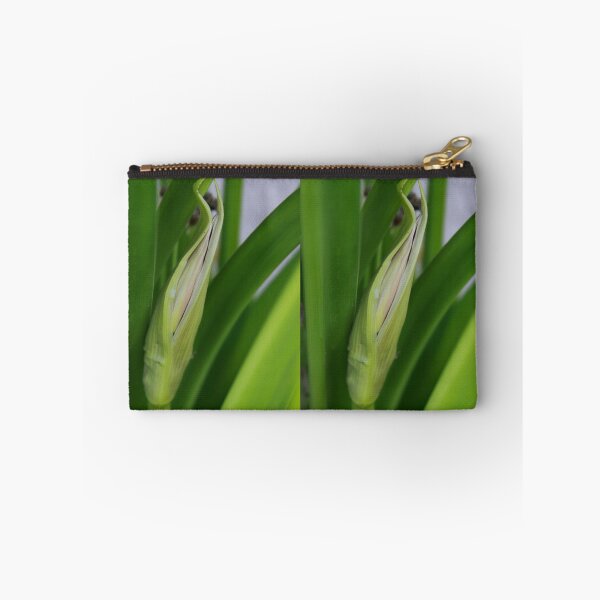 Item preview, Daylily Scape Starting to Open designed and sold by Robert Armendariz.