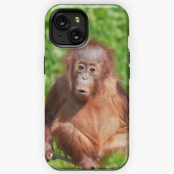  iPhone X/XS Milo - The Borneo Baby Orangutan Case