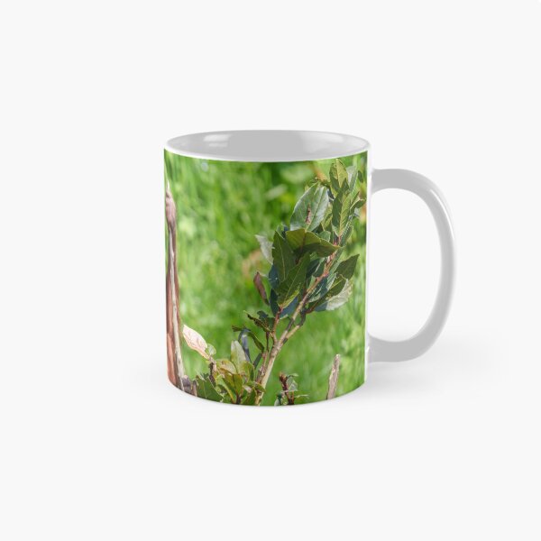 Item preview, Bebé orangután trepador designed and sold by rawshutterbug.