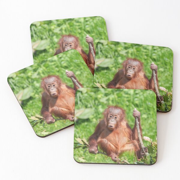 Item preview, Climbing Orangutan Baby designed and sold by rawshutterbug.