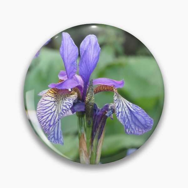 Item preview, Blue and Yellow Iris Flower designed and sold by Honey Myrtle Studio.