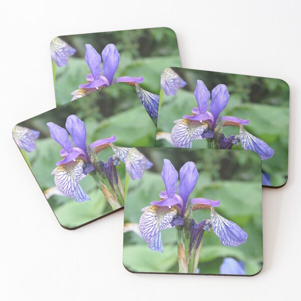 Item preview, Blue and Yellow Iris Flower designed and sold by Honey Myrtle Studio.