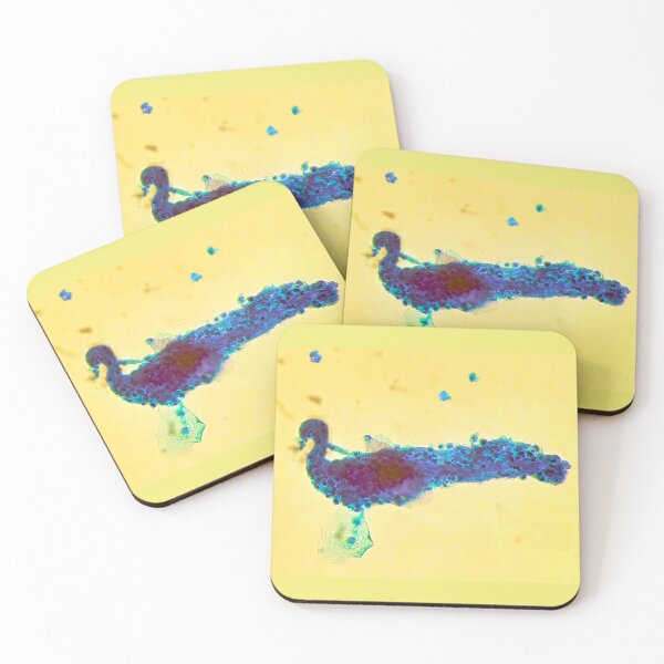 Item preview, CytoZoo, Peacock designed and sold by CytoZoo.