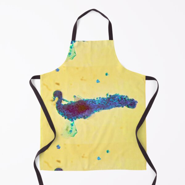 Item preview, CytoZoo, Peacock designed and sold by CytoZoo.
